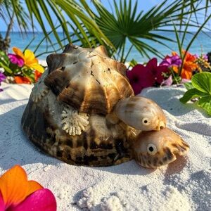 Vintage Handmade Seashell 2 Stacked Turtles Figurine Natural Shells Body Head